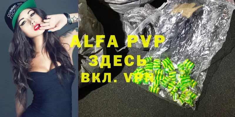 A-PVP СК  как найти   Западная Двина 